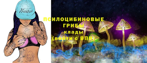гидропоника Армянск