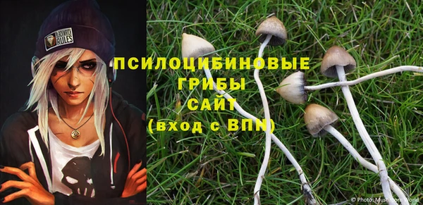 гидропоника Армянск